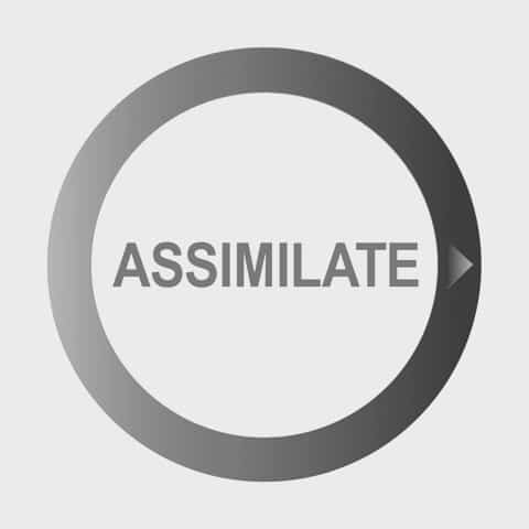 Assimilate Software